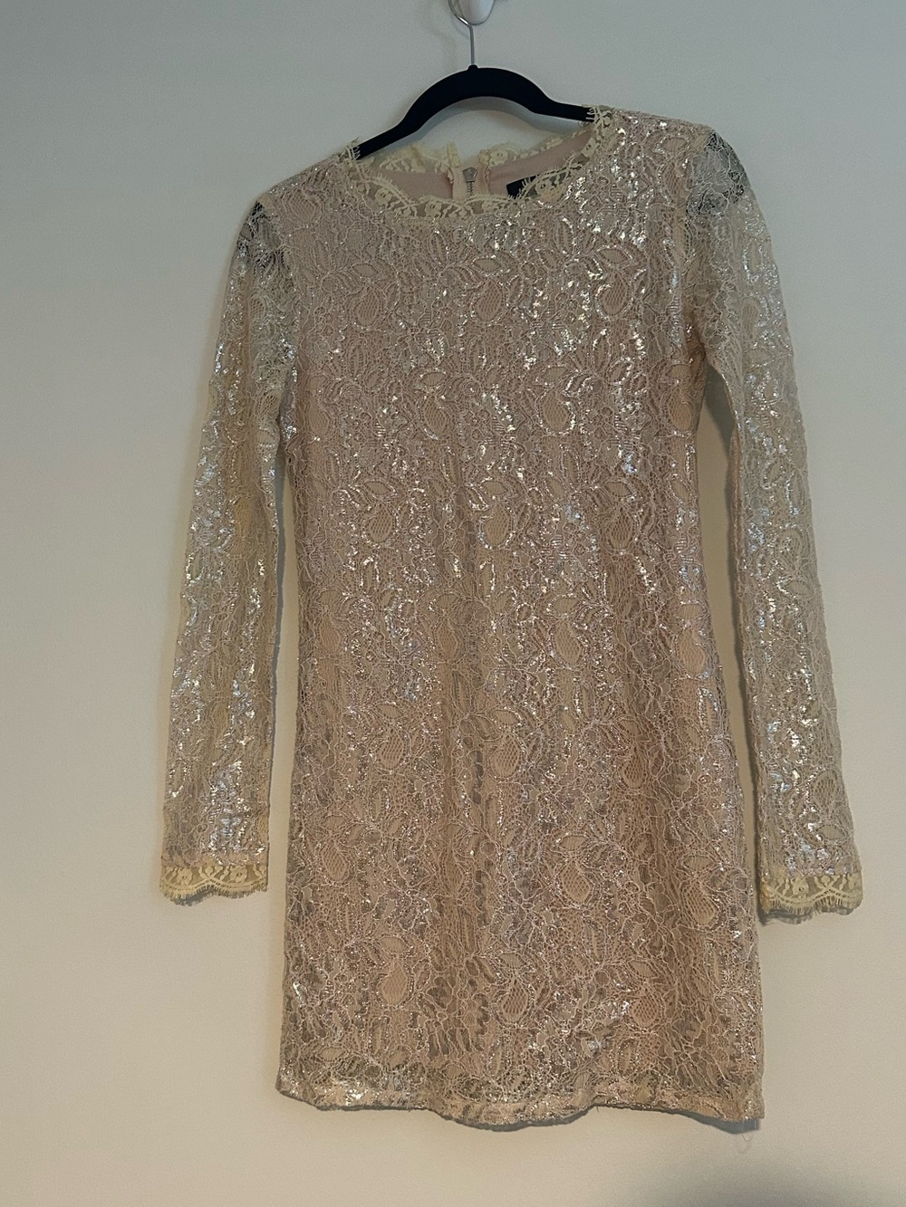 endless rose gold dress